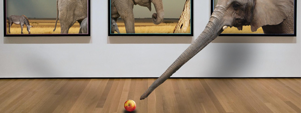 acc_centros_cultura.png