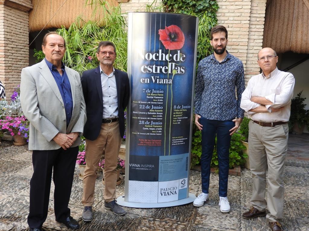 noche_de_estrellas_en_viana_jun_2019.jpg