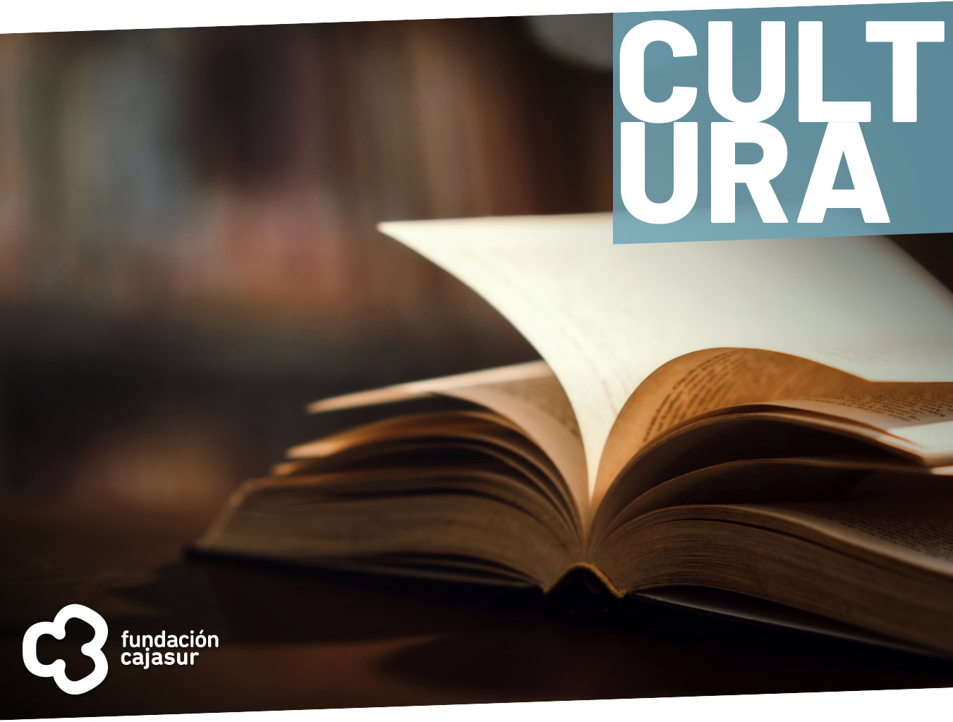 Ciclo de novela histórica en el Palacio de Viana