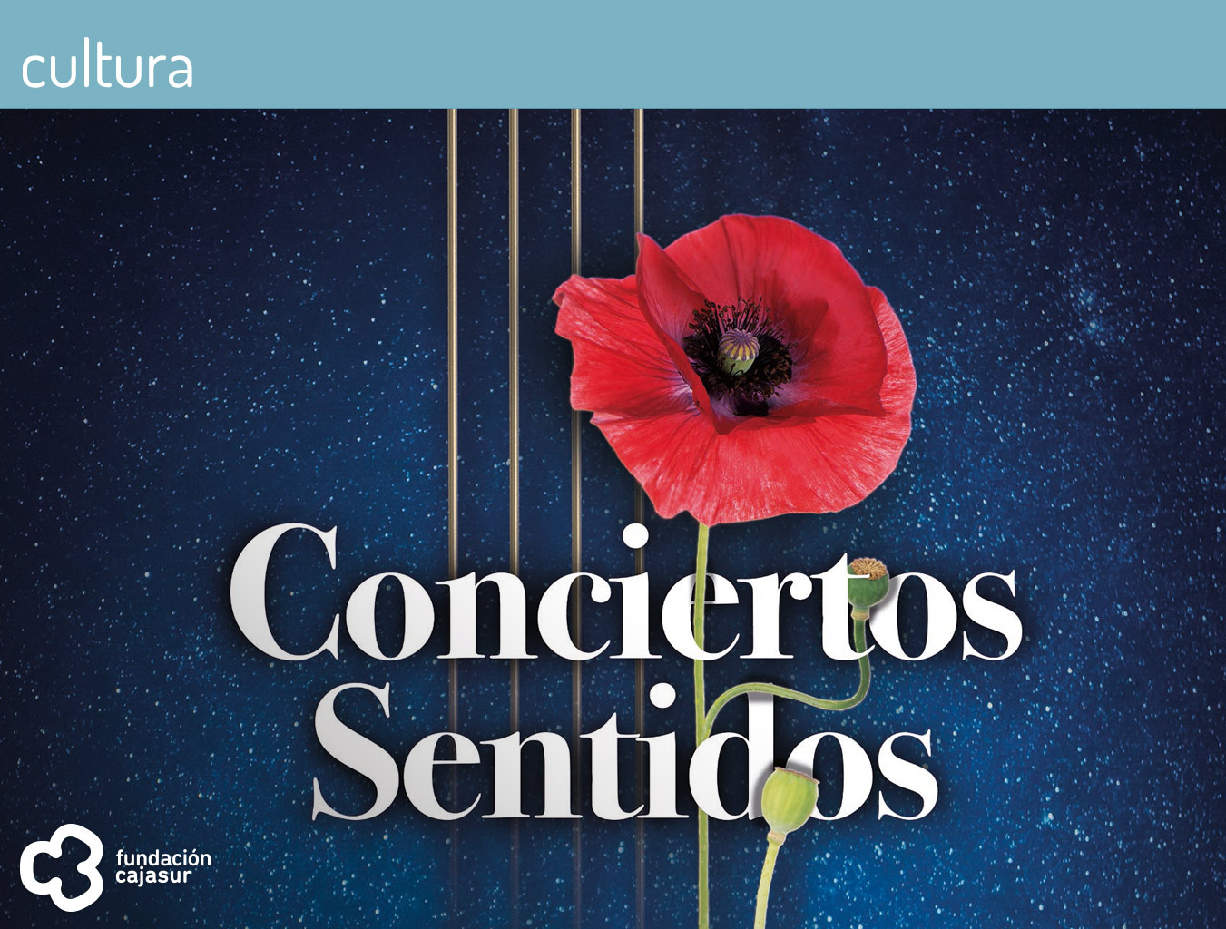 conciertos sentidos