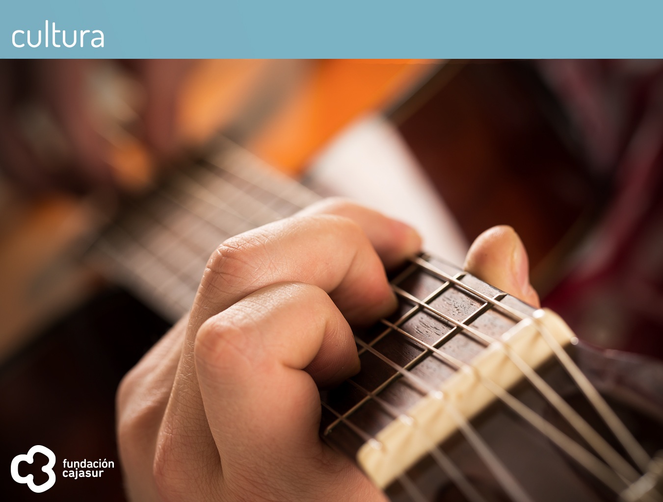 conciertos sentidos