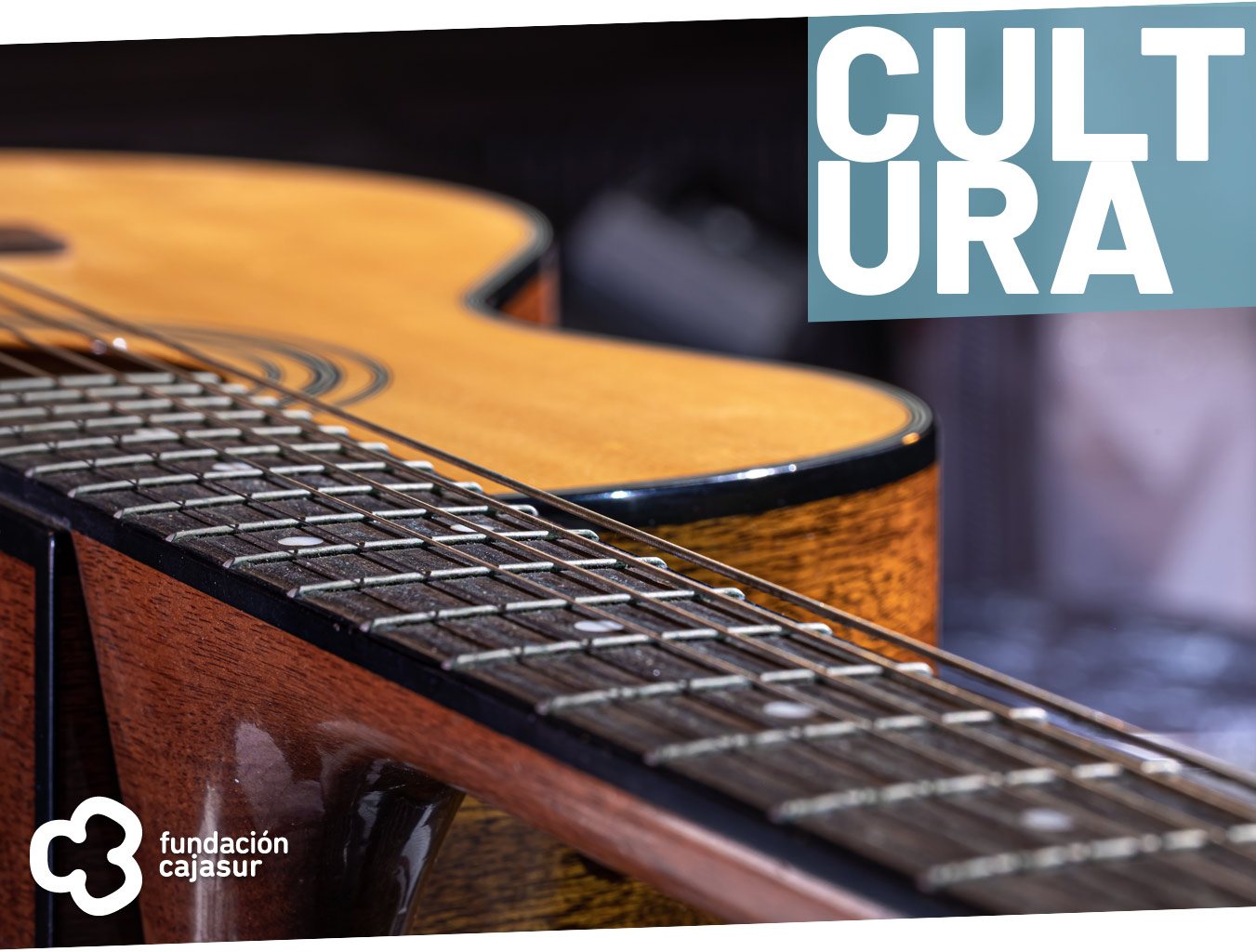 Conciertos sentidos agosto