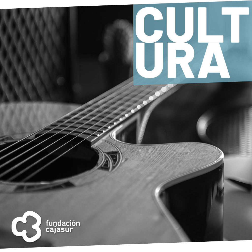 conciertos_sentidos