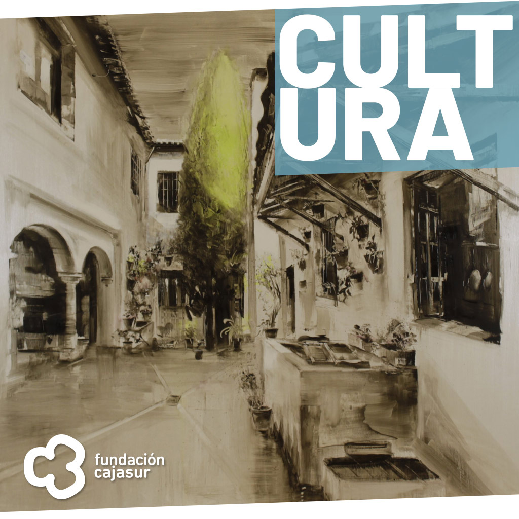 Fallo concurso Córdoba y sus patios