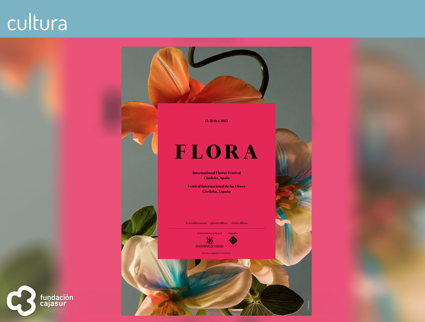 presentación flora