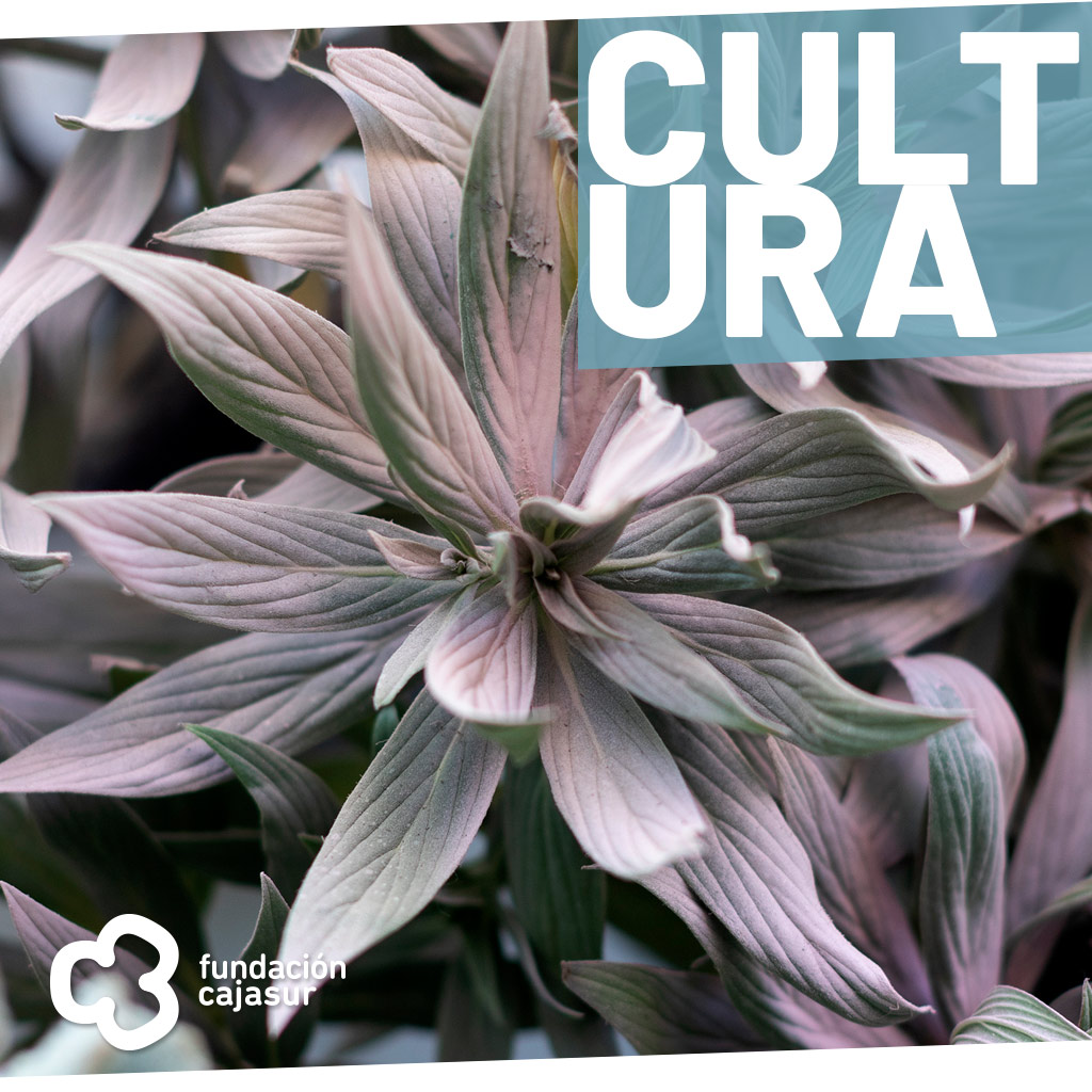 Clausura Flora 2023