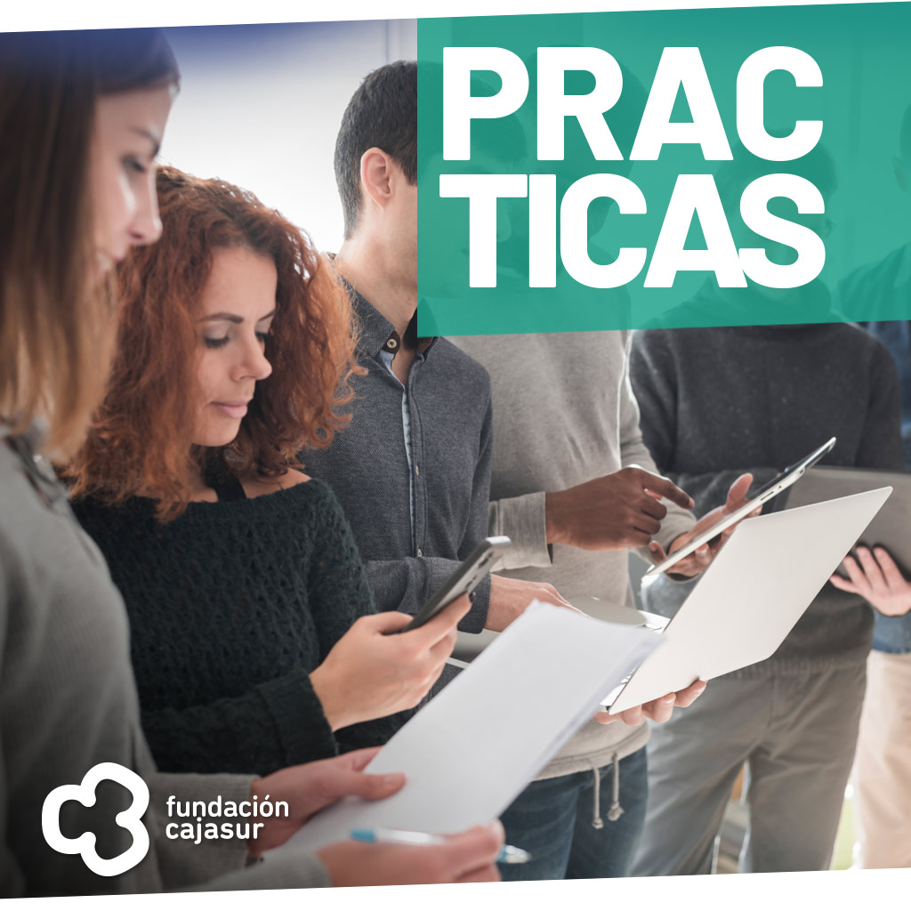 programa de practicas fundacion cajasur