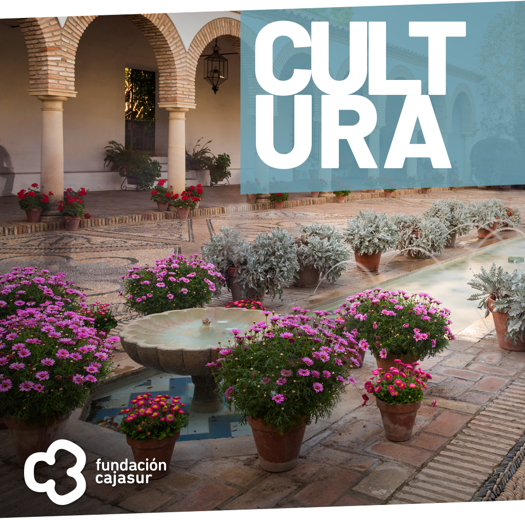 Jornadas de Puertas Abiertas Palacio de Viana