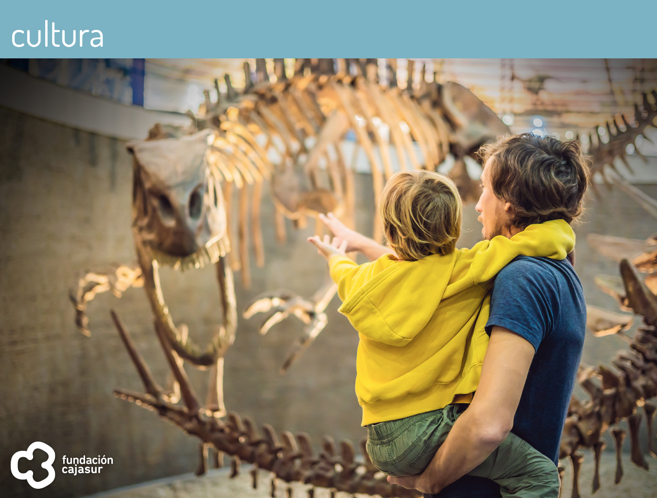 museos ciencia visita virtual