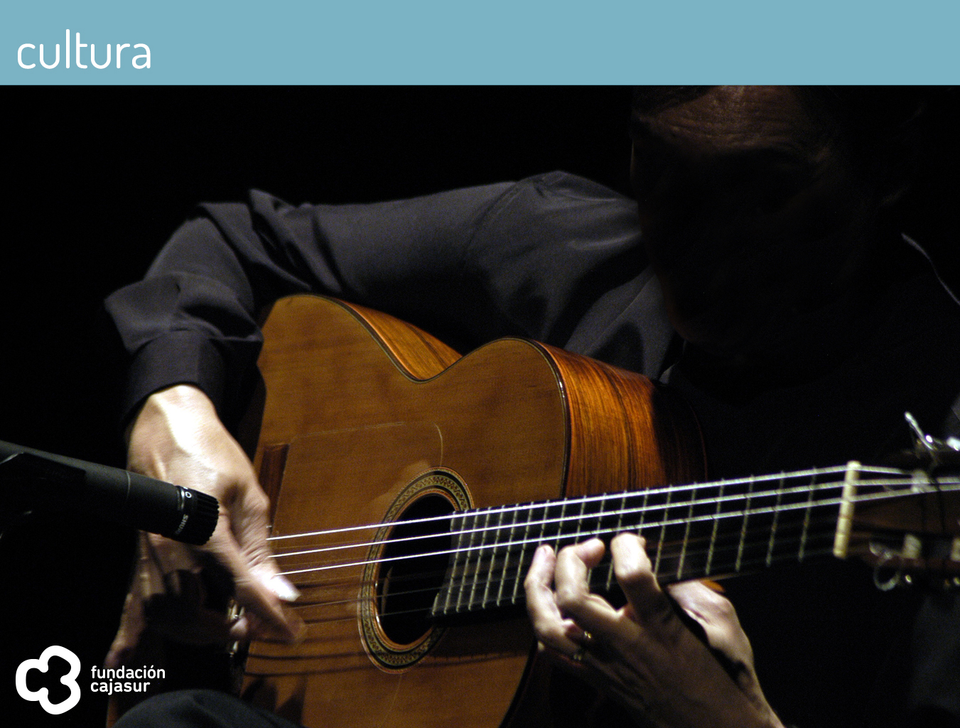 noches de flamenco en el Alcázar