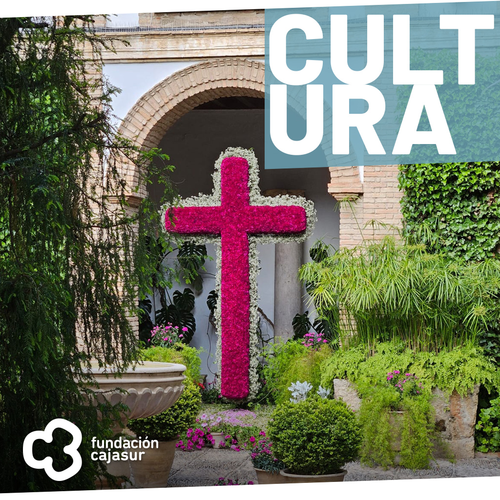 Jornadas de Puertas Abiertas Palacio de Vianaa