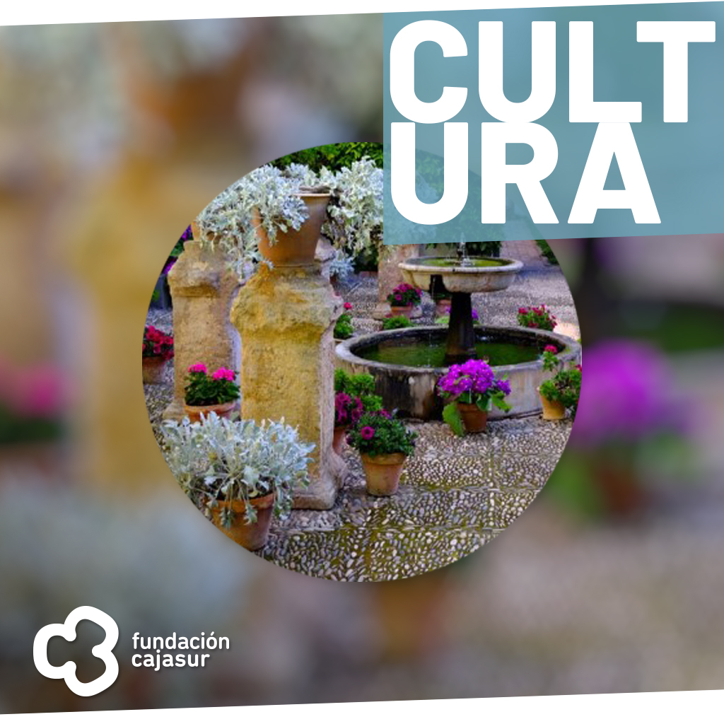 Pieza destacada Viana 26 de octubre