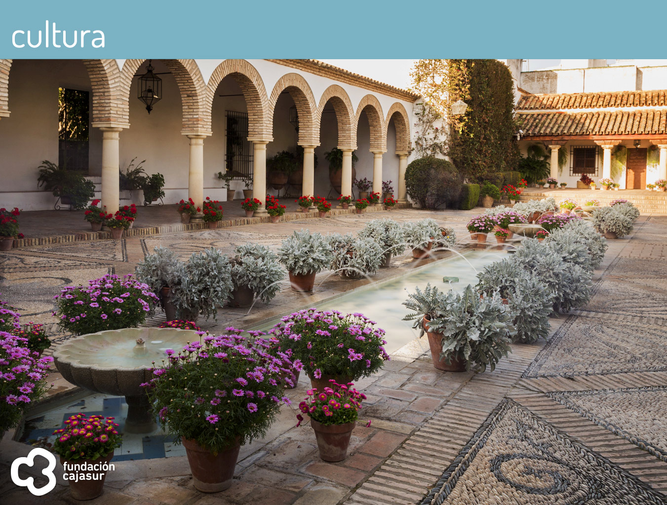 puertas abiertas viana