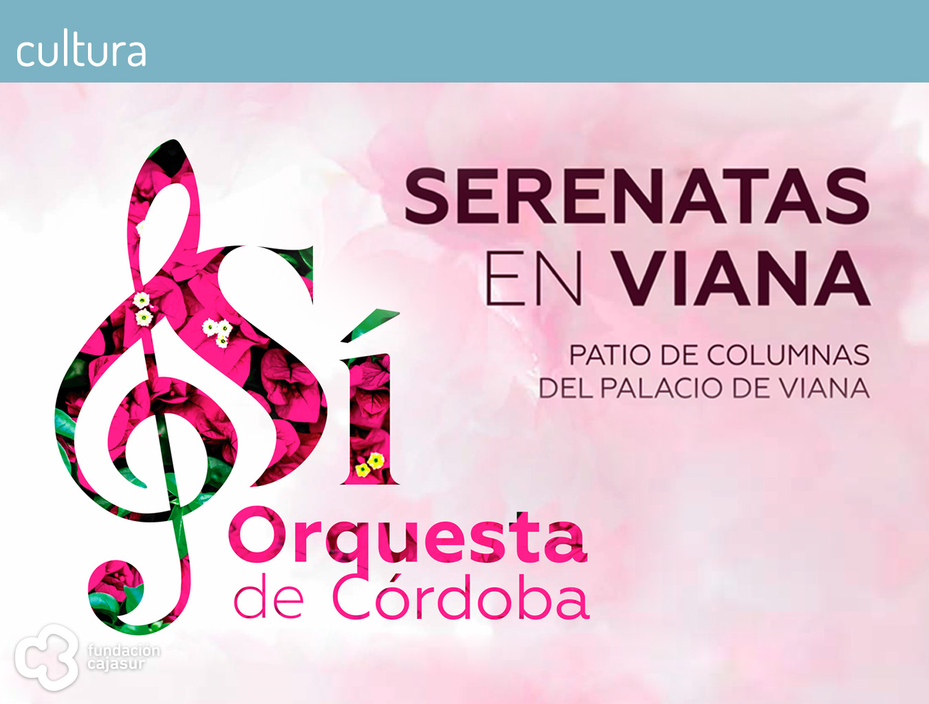 serenatas en viana