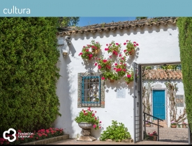 Éxito puertas abiertas Palacio Viana Éxito puertas abiertas Palacio Viana