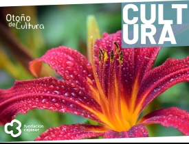Flora 2022 Flora 2022