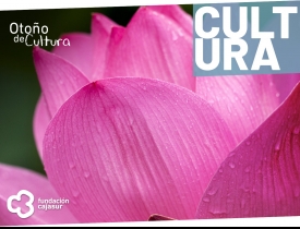 Flora 2022 Flora 2022