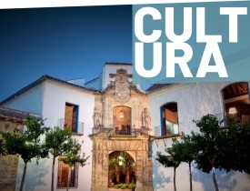 Obras mantenimiento Palacio de Viana