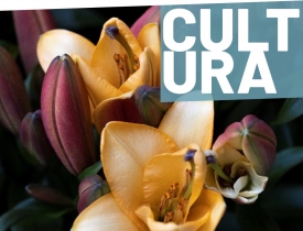 Flora 2023