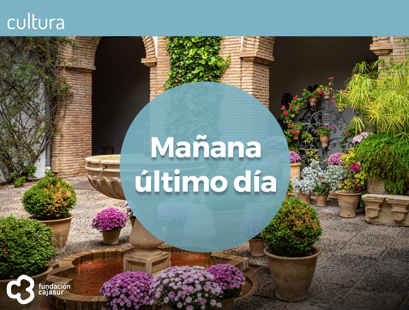 palacio de viana último día